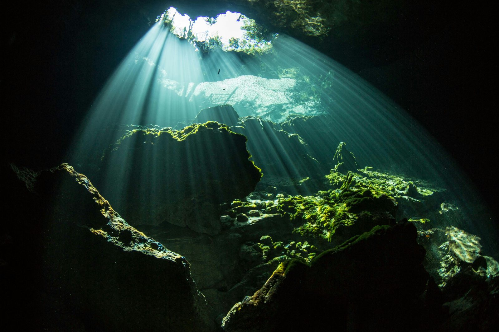 Ben's Cavern – Grand Bahama, Bahamas